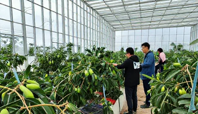 农资供应中的选型误区与技术指导关键