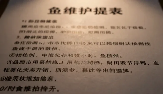 优质大米使用与维护建议，提升食用体验